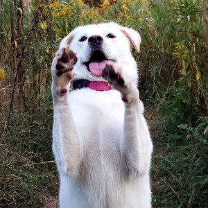 Fundraising Page: Cici & Nara